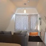 Orman Evi Kotaranta Arkkukari